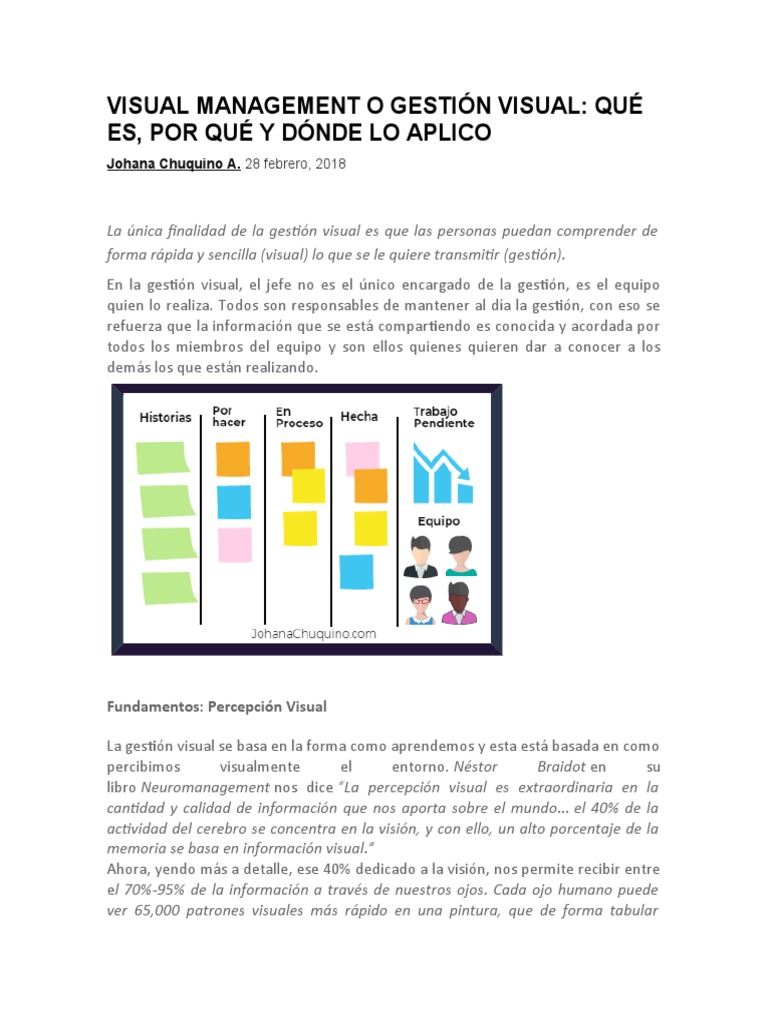 Visual Management | PDF | Percepción visual | Información
