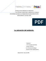 Valoración Del Ambiente PDF