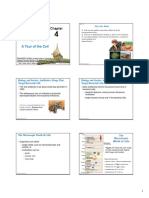 Chapter 4 A Tour of The Cell