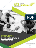 CDD - Fundamentos de La Organización PDF