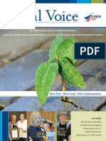 Local Voice January 2011