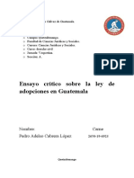 Análisis Crítico de La Ley de Adopción