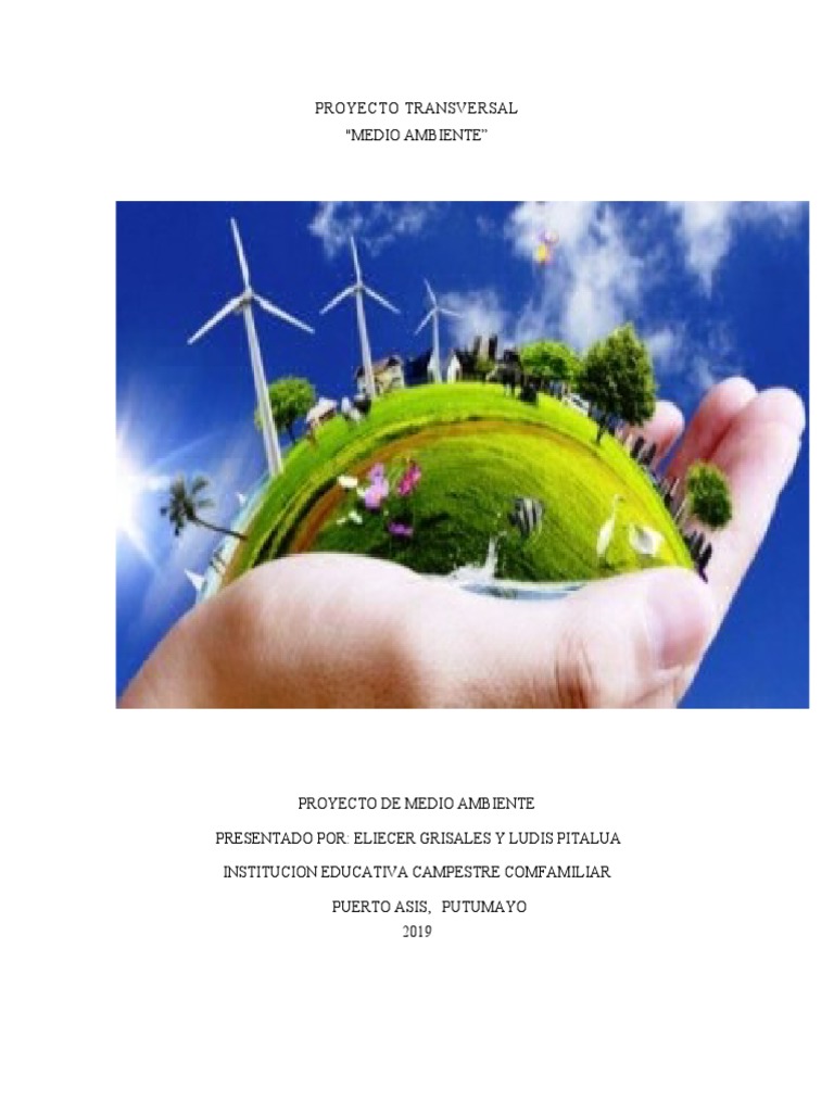 Proyecto Educativo sobre Medio Ambiente | PDF | Entorno natural | Residuos