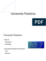 Taxonomía Numérica