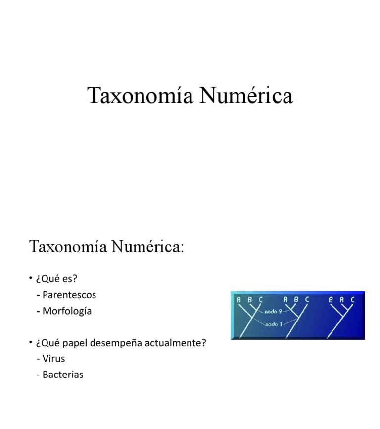 Taxonomía Numérica PDF