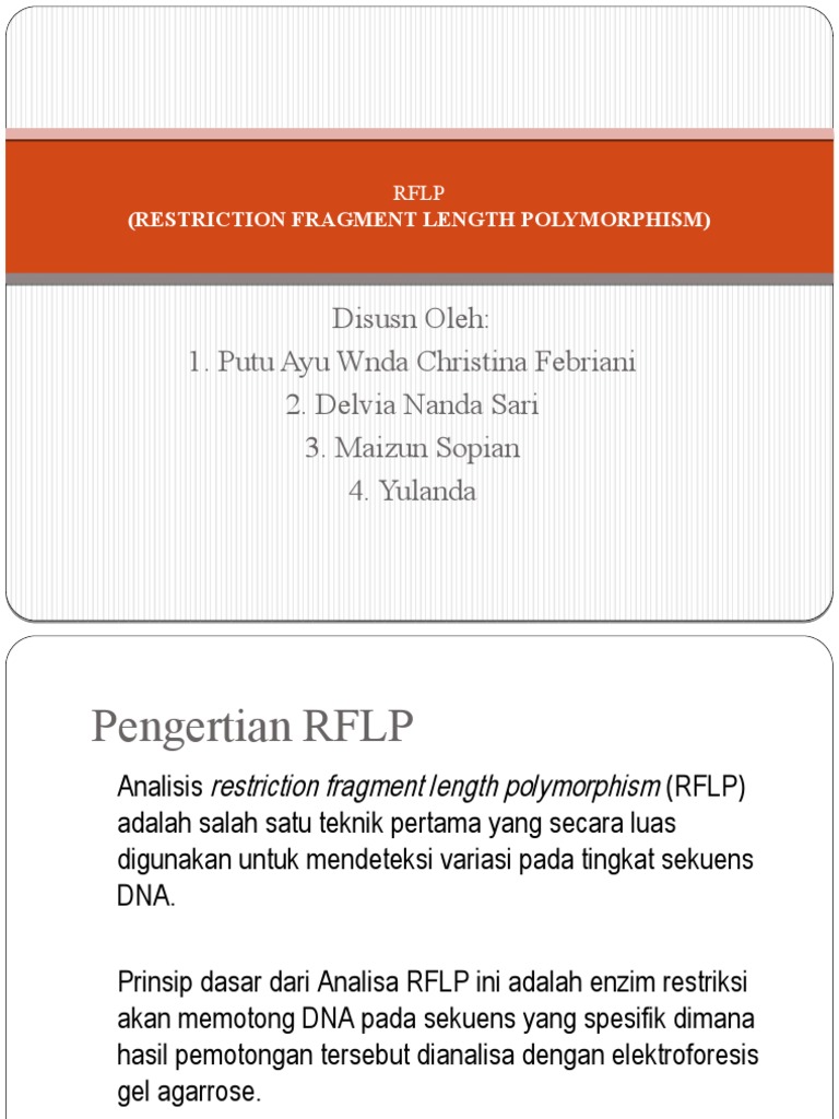 RFLP | PDF