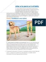 Cómo enseñar a tu perro a ir al baño.pdf