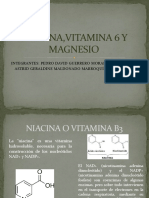 Niacina, Vitamina 6 y Magnesio2