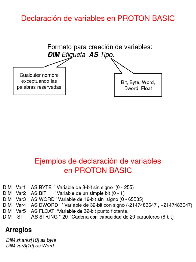 PROTON BASIC Variable Declaration Guide | PDF | Theoretical Computer ...