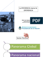 000000_Porcinos Escuelagro.pdf