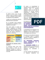 RI Frente A MO PDF