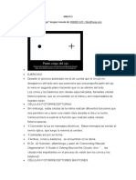 Anexo 2 Sensopercepción PDF Completo