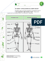 huesos y articulaciones pdf.pdf