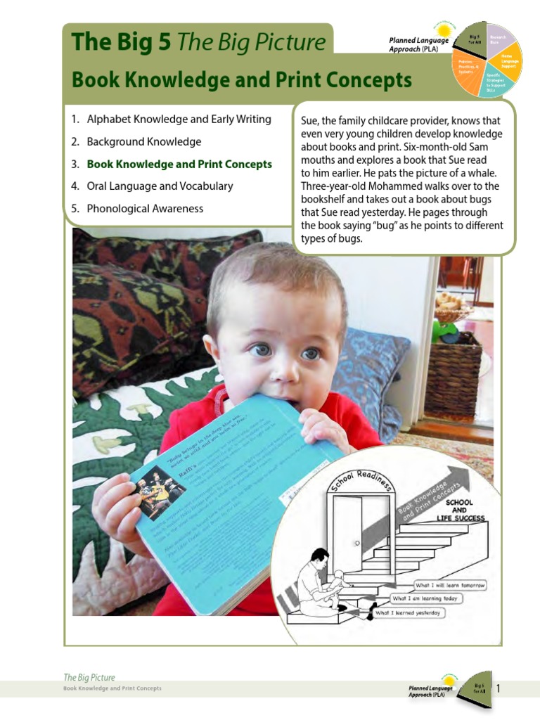 Big5 Big Picture Book Knowledge Eng PDF | PDF | Books | English Language