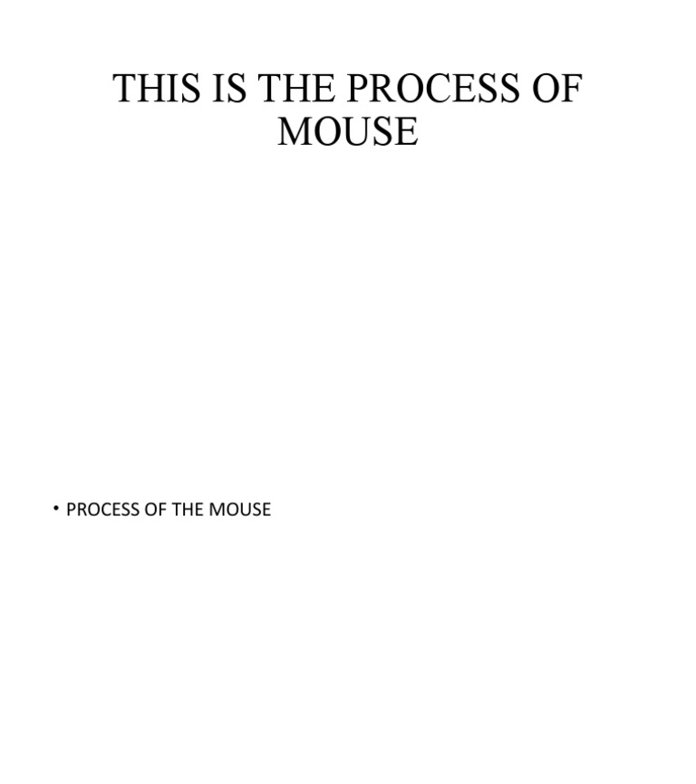Understanding the Mouse Process | PDF