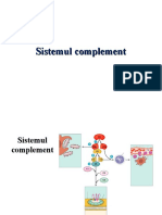 Sistemul Complement