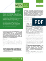 007 - Guia para realizar ensayo.pdf