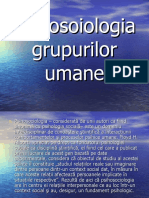 Psihosociologia Grupurilor Umane