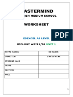 Mastermind: Worksheet