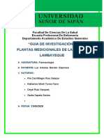 Plantas M R L