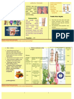 Leaflet Reamatik