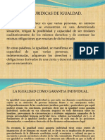 I Garantias de Igualdad PDF