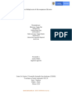 Multiplicación de Microorganismo Beneficiosos