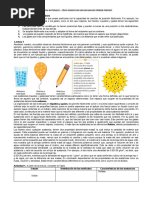 Guía de Trabajo Fisica 8°