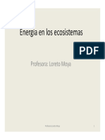 energía en los ecosistemas.pdf