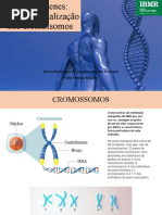 Aula 2- Genes. funções e localização nos cromossomos