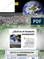 2 Impacto de La Contaminacion Ambiental