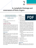 Pelvic organs blood vessels, lymphatic drainage and innervation