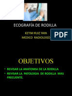 Rodilla Expo