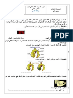 ايقاظ رابعة