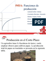 Funciones de producción: Análisis de curvas de producto total, medio y marginal