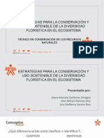 EXPOSICIÓN 1 - CLASIFICACIÓN DE LAS PLANTAS (2)