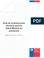 Guía-Orientaciones-Técnicas-en-Salud-Mental-CTCI-Centro-Sur