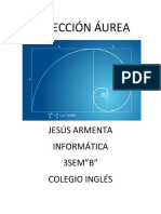 Seccion AUREA.docx