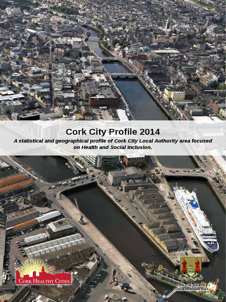 Cork City Profile PDF Air Pollution Academic Degree
