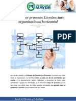 Estructura Organizacional Por Procesos PDF