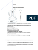 ACTIVIDAD DIAGNOSTICA DE BIOLOGÍA Leonel Ledesma