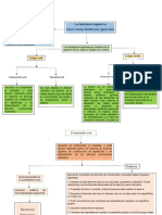 Organizador Trabajo 2