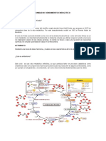 Ciclo de Krebs