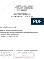 Trion 1DL ST PDF