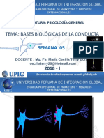 Semana 5 Bases Biologicas de La Conducta Marketing