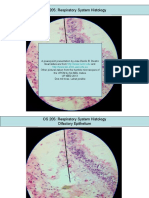 Histology Respiratory PDF