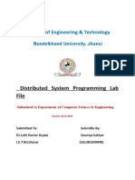 Distributed System Programming Lab Report