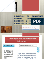 ejecuciÓn_de_sanciones_penales_juveniles_–_remisiÓn_y_control_de_ejecuciÓn_de_condenas.pdf