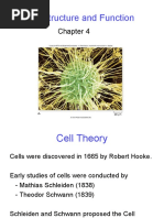 Cell Structure and Function for Class 11 | PDF | Cell Membrane | Cell ...