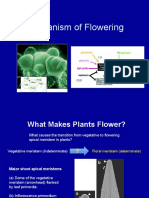 Mechanism of Flowering: What Makes Plants Flower